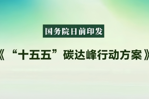 ��һ�˶���(B-sports)�ٷ���վ